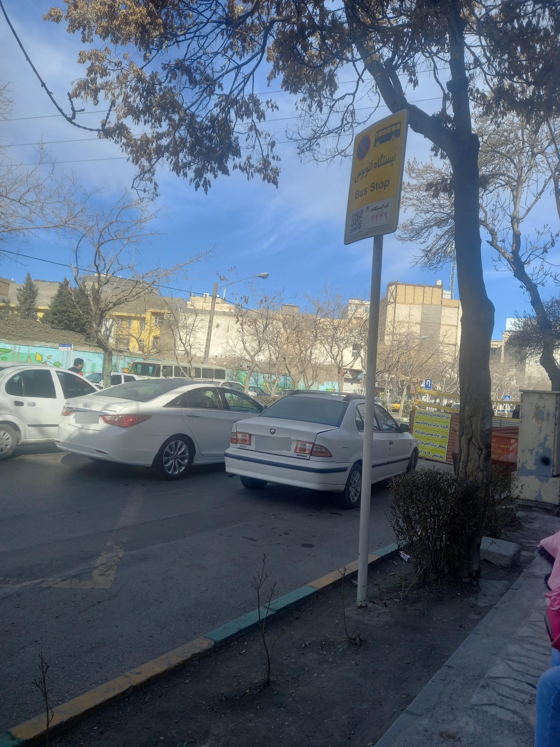 عکس  شهید مطهری شمالی 29