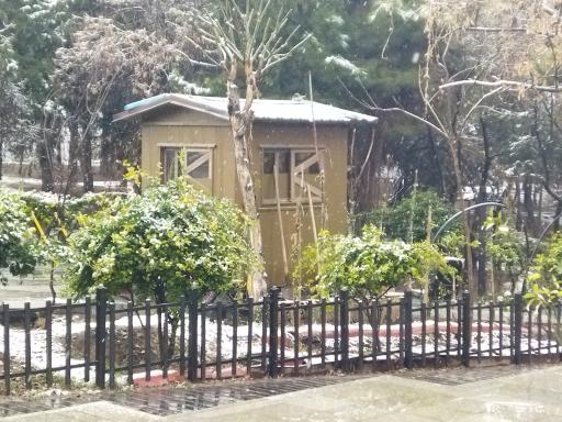 عکس بوستان بانوان حدیدچی دباغ