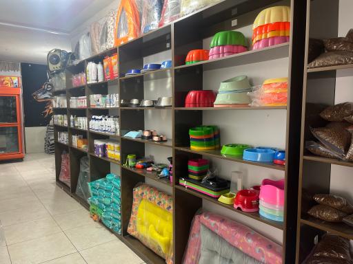 بیمارستان دامپزشکی آلفا