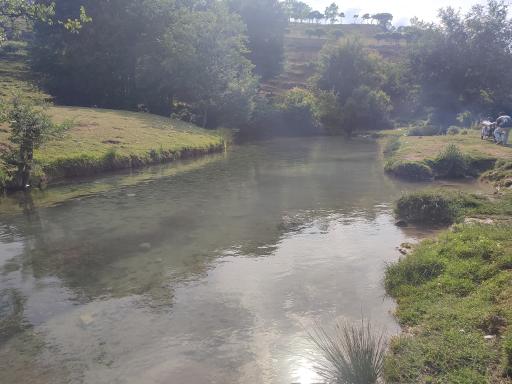 عکس هزارچشمه
