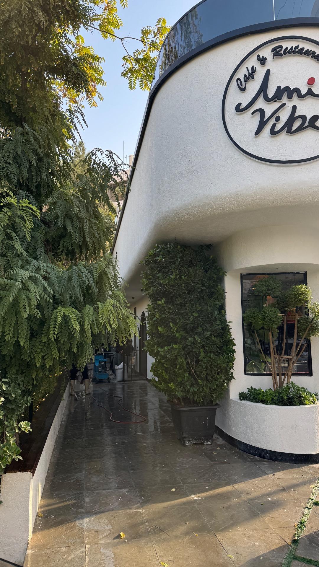 عکس آمی وایب