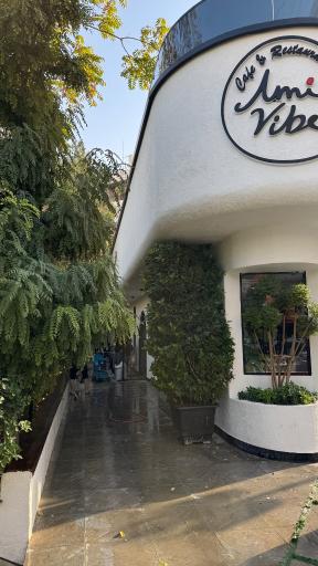 عکس آمی وایب