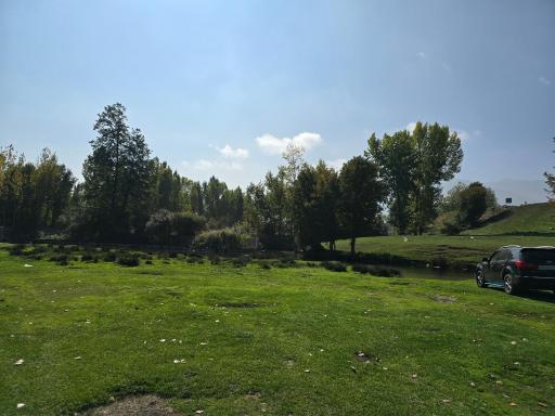 عکس هزارچشمه