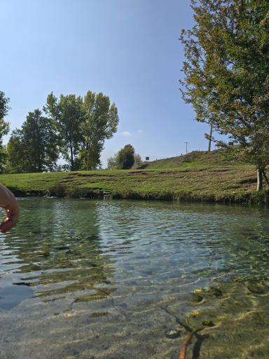 عکس هزارچشمه