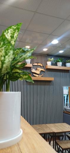 عکس کافه کایا