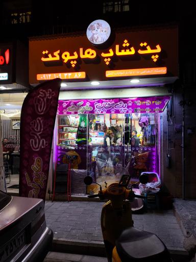 عکس هاپو پت