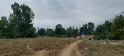 عکس هزارچشمه