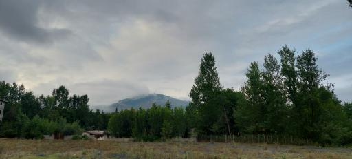 عکس هزارچشمه