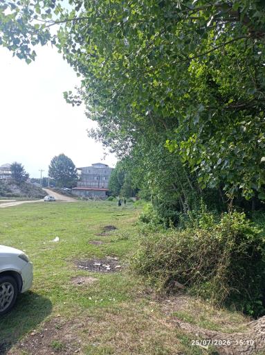عکس هزارچشمه