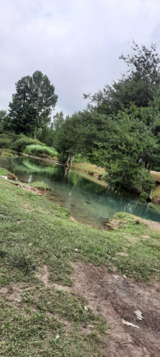 عکس هزارچشمه