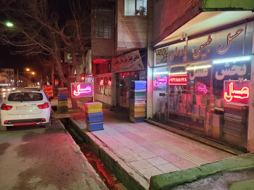 عکس پخش عسل پارسان