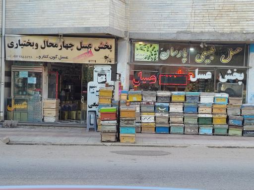 عکس پخش عسل پارسان