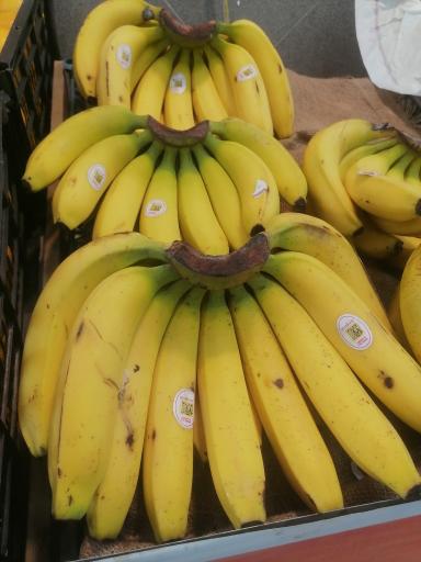 عکس میوه فروشی سید