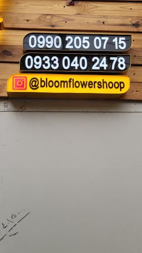 عکس گل فروشی بلوم