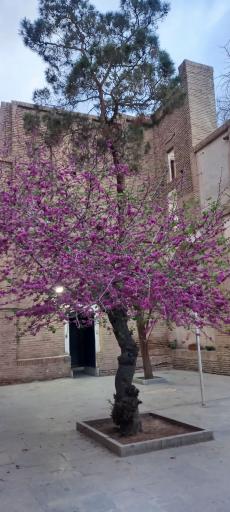 عکس گنبد مشتاقیه