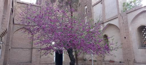 عکس گنبد مشتاقیه