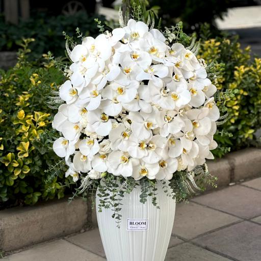 عکس گل فروشی بلوم