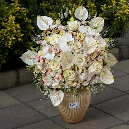 عکس گل فروشی بلوم