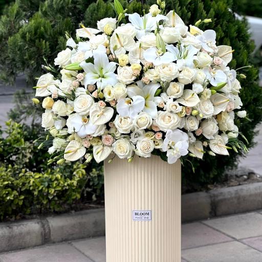 عکس گل فروشی بلوم