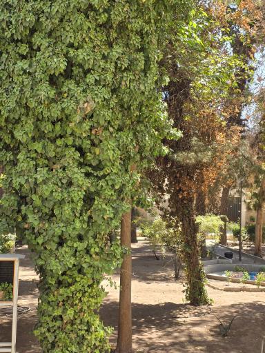 عکس گنبد مشتاقیه