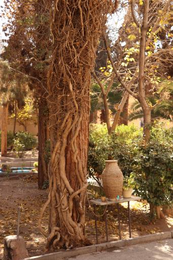 عکس گنبد مشتاقیه