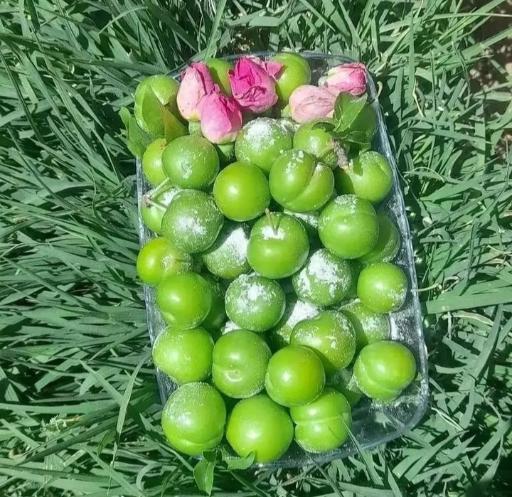 عکس باغ سبزیجات تازه