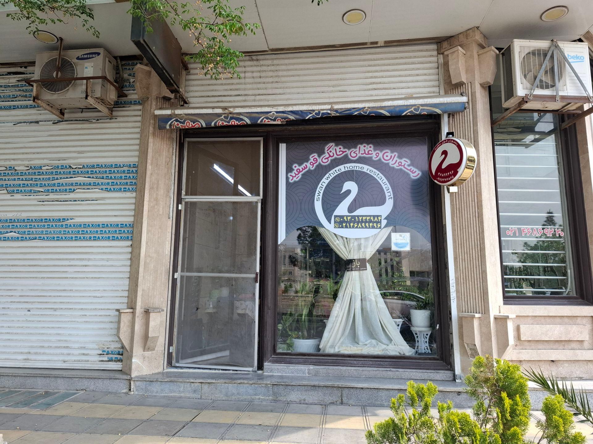 عکس قو سفید