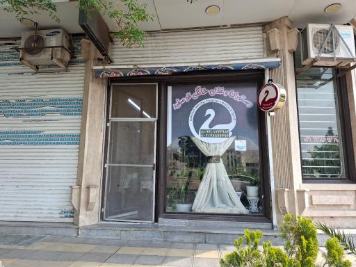 عکس قو سفید