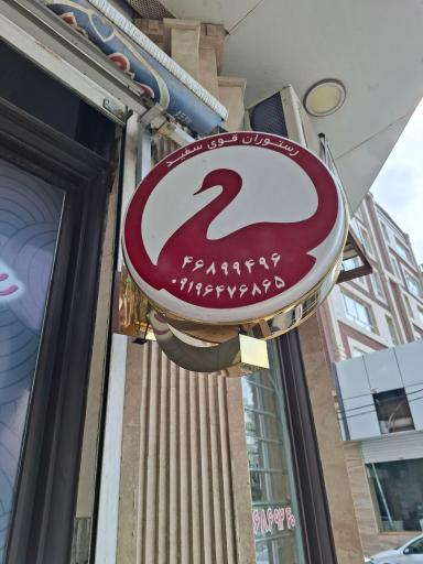 عکس قو سفید
