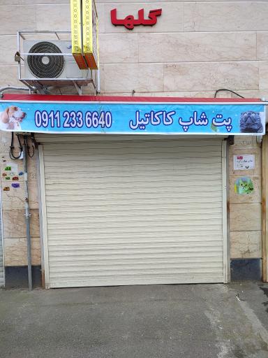 عکس پت شاپ کاکاتیل