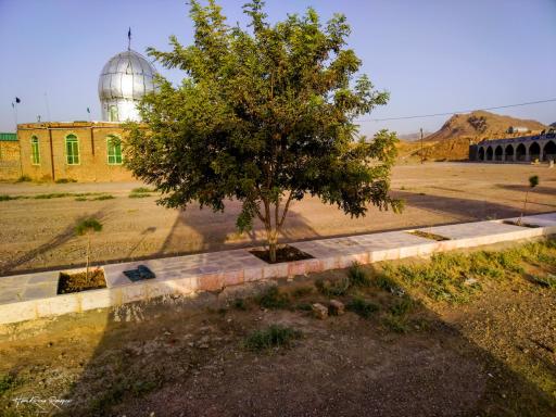 عکس اسفشاد