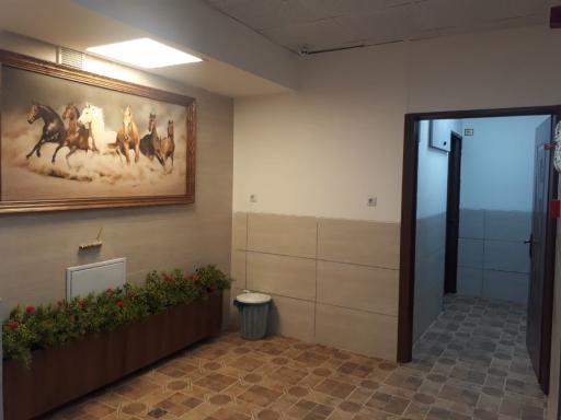 عکس مهمانپذیر شفیع فندق