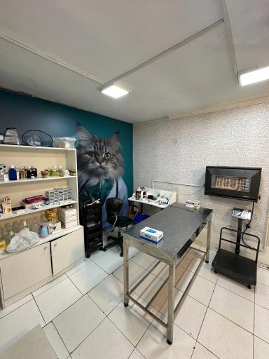 عکس کلینیک و پت شاپ حیوانات خانگی نگاه 