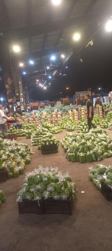 عکس فاز 1 سالن 8