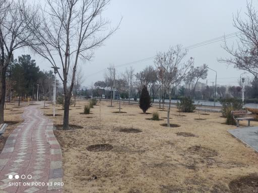 عکس پارک کوروش