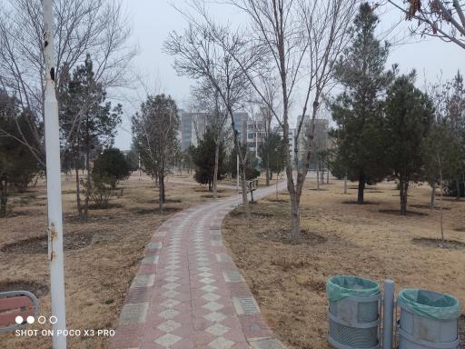 عکس پارک کوروش