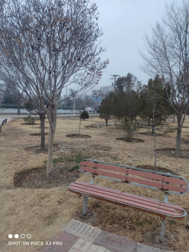 عکس پارک کوروش