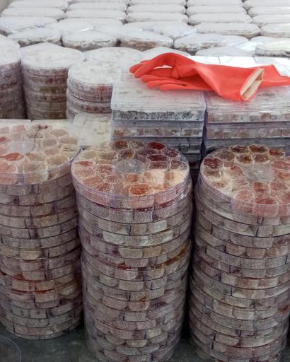 عکس کارخانه لوکوم علی آقا