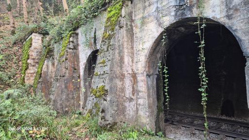 عکس تونل راه‌آهن زیولا