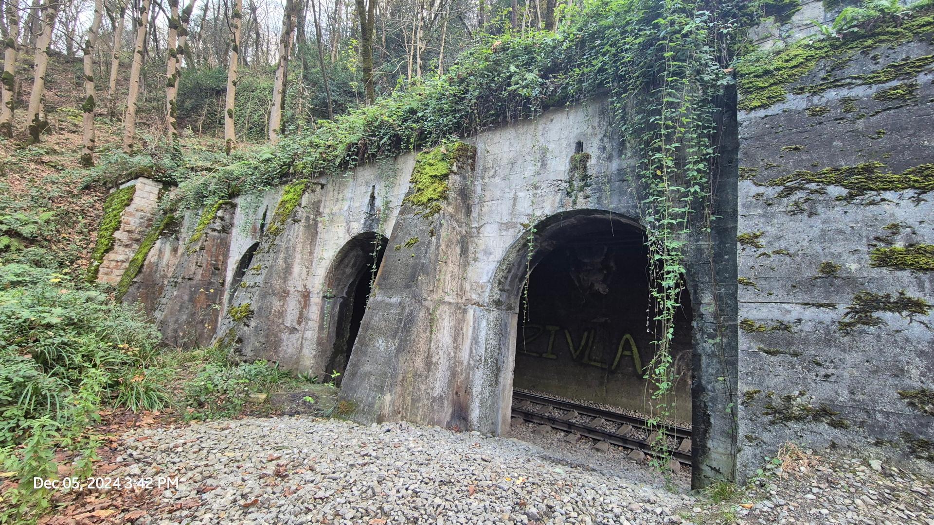 عکس تونل راه‌آهن زیولا