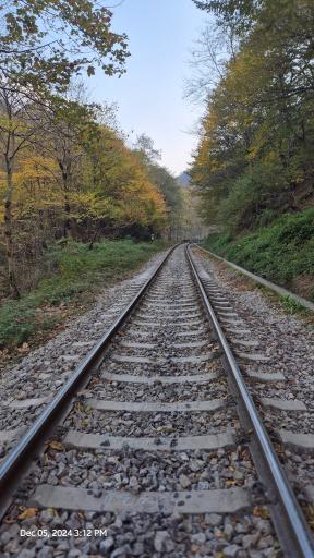 عکس تونل راه‌آهن زیولا