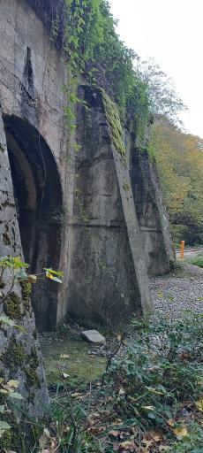 عکس تونل راه‌آهن زیولا