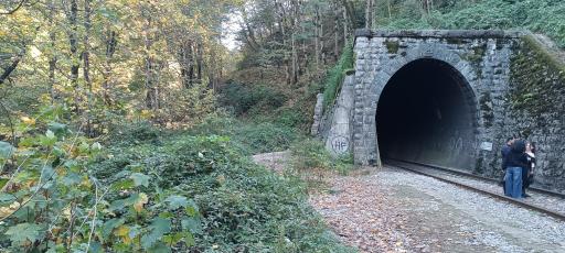 عکس تونل راه‌آهن زیولا