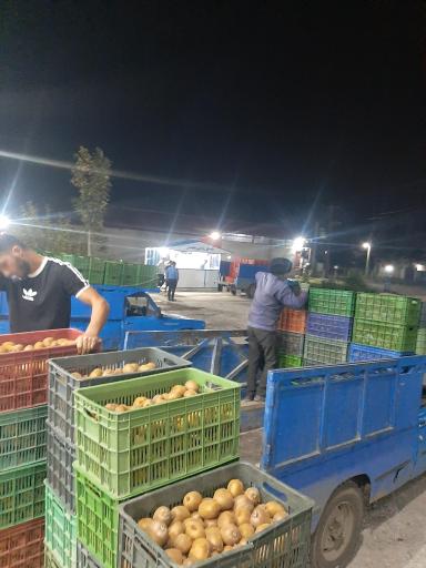 عکس سردخانه سیدعزیز محمدی