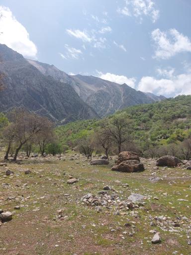 عکس دره عشق