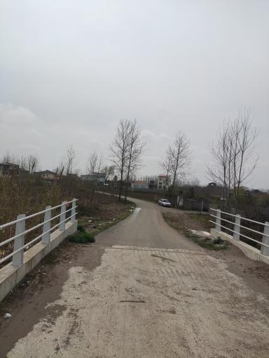 سلیم چاف
