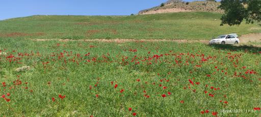 عکس دره عشق