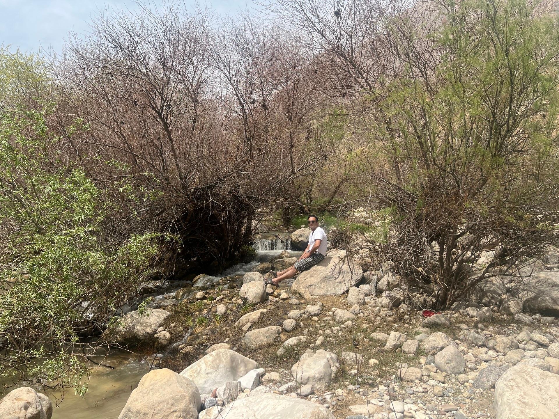 عکس دره عشق