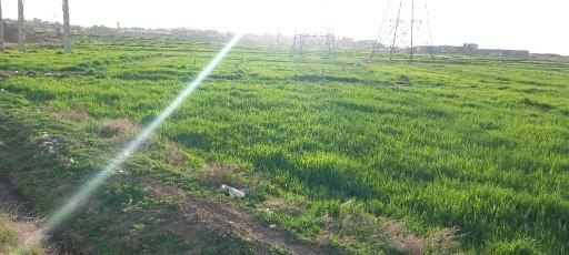 عکس سلطان آباد