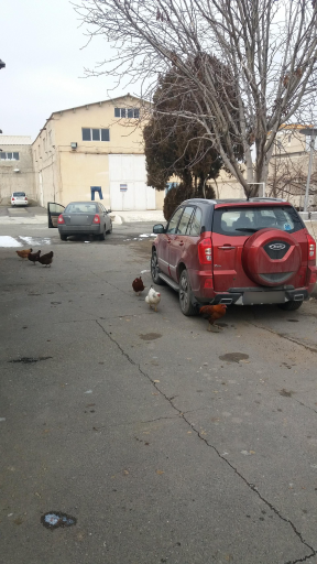 عکس کارخانه لوکوم علی آقا